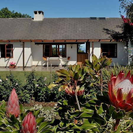 بليتنبيرغ باي Heatherhill Farmhouse - Sea & Mountain Views المظهر الخارجي الصورة