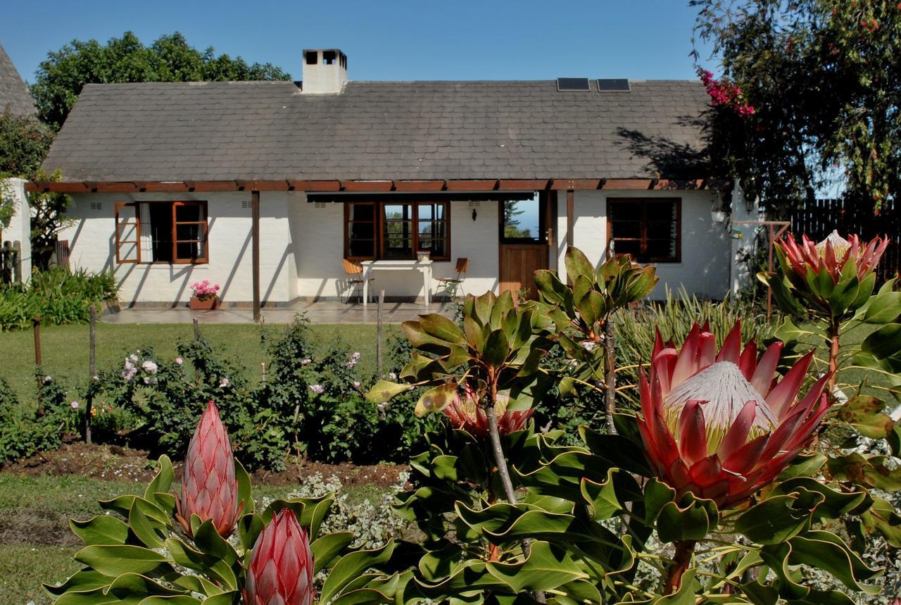 بليتنبيرغ باي Heatherhill Farmhouse - Sea & Mountain Views المظهر الخارجي الصورة