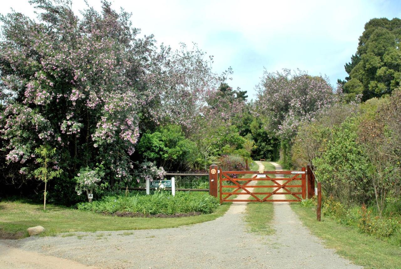 بليتنبيرغ باي Heatherhill Farmhouse - Sea & Mountain Views المظهر الخارجي الصورة