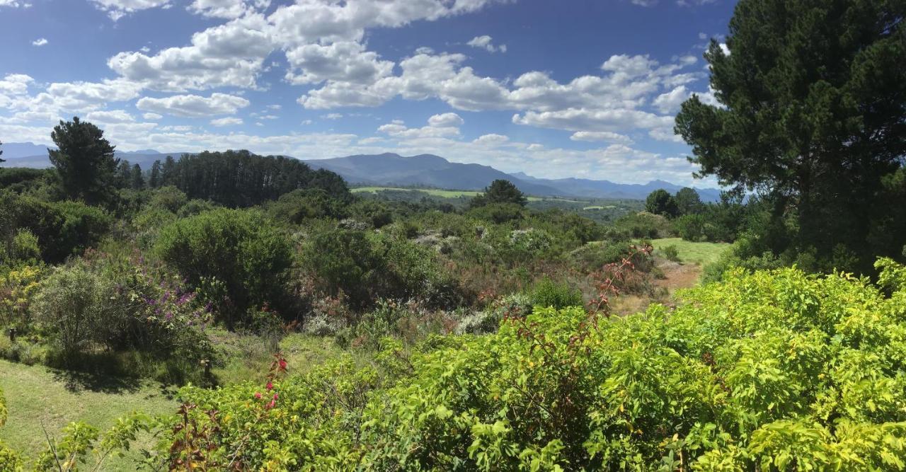 بليتنبيرغ باي Heatherhill Farmhouse - Sea & Mountain Views المظهر الخارجي الصورة